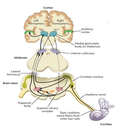 A hearing test in progress